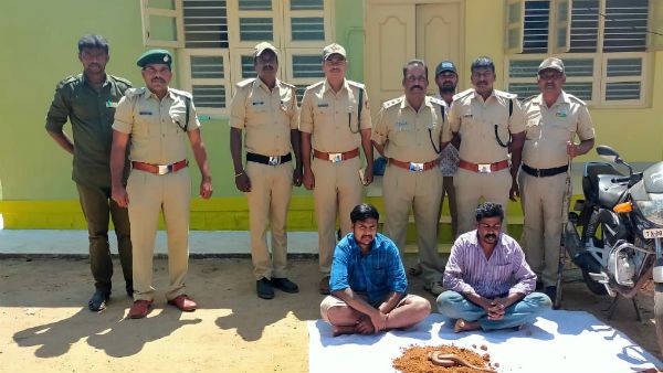 ಅಕ್ರಮವಾಗಿ ಎರಡು ತಲೆ ಹಾವು ಸಾಗಾಟ: ಇಬ್ಬರ ಬಂಧನ