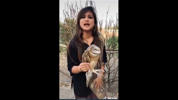 ಗೂಬೆ ಹಿಡಿದು ಟಿಕ್ ಟಾಕ್ ಮಾಡಿದ ಯುವತಿಗೆ ಬಿತ್ತು ದುಬಾರಿ ದಂಡ