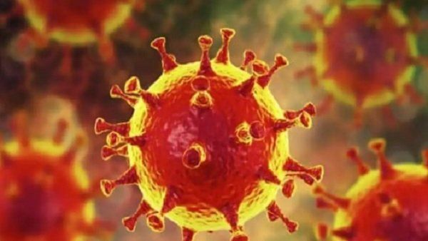 ಕೊರೊನಾದಿಂದ ಮೃತಪಟ್ಟಿದ್ದ ಗೌರಿಬಿದನೂರು ಮಹಿಳೆಯ ಮಗ, ಸೊಸೆ ಮೊಮ್ಮಗನಿಗೂ ಸೋಂಕು