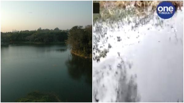 ಕಲುಷಿತವಾದ ಮೈಸೂರಿನ ಪ್ರಸಿದ್ಧ ಕುಕ್ಕರಹಳ್ಳಿ ಕೆರೆ