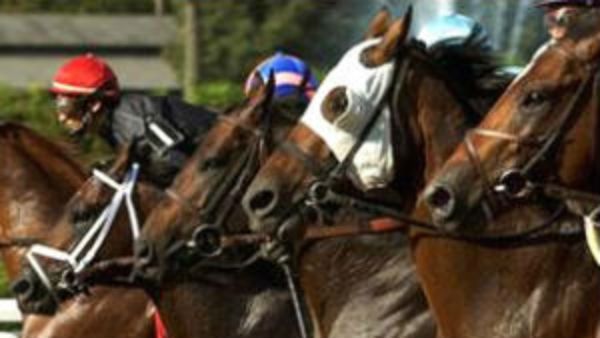 ಮೈಸೂರಿನಲ್ಲಿ ಅಕ್ರಮ ಕುದುರೆ ರೇಸ್ ಬೆಟ್ಟಿಂಗ್: ಎಂಟು ಮಂದಿ ವಶಕ್ಕೆ