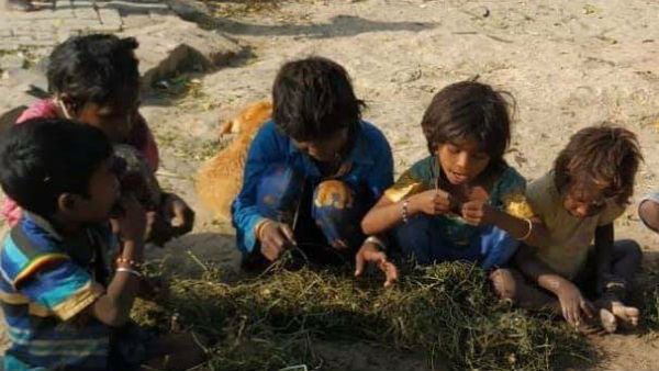 ವಾರಾಣಸಿಯಲ್ಲಿ ಹಸಿವಿನಿಂದ ಎಲೆ ತಿಂದರೆ ಈ ಆರು ಮಕ್ಕಳು?