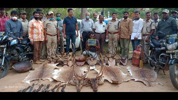 ಜಿಂಕೆ ಮಾಂಸ ಮಾರಾಟ: ಅರಣ್ಯಾಧಿಕಾರಿಗಳ ದಾಳಿ, ಬಂಧನ