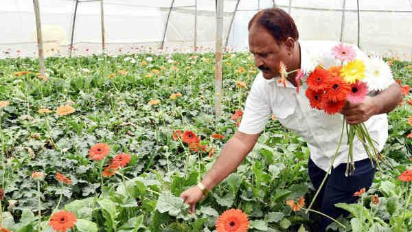 ಹೂ ಬೆಳೆ ನಷ್ಟ ಪರಿಹಾರಧನಕ್ಕಾಗಿ ರೈತರಿಂದ ಅರ್ಜಿ ಅಹ್ವಾನ