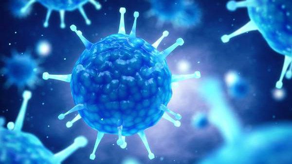 ಪಶ್ಚಿಮ ಬಂಗಾಳದ ಸಚಿವನ ಪೂರ್ತಿ ಕುಟುಂಬಕ್ಕೆ ಕೊರೊನಾ ಸೋಂಕು