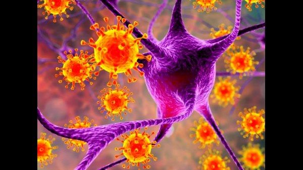 ಚೀನಾಗಿಂತ ಯೂರೋಪ್, USನಲ್ಲಿ ಕೊರೊನಾ ಆರ್ಭಟ ಯಾಕೆ? ಭಯಾನಕ ಮಾಹಿತಿ ಬಯಲು!