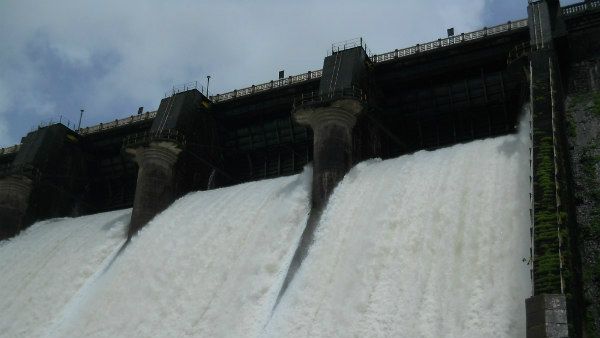 Linganamakki Dam Water Level Today | ಲಿಂಗನಮಕ್ಕಿ ಅಣೆಕಟ್ಟು ಇಂದಿನ ನೀರಿನ ಮಟ್ಟ