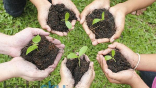 ಪಿಜಿ ವಿದ್ಯಾರ್ಥಿಗಳಿಗೆ ಗಿಡ ನೆಡುವುದು ಕಡ್ಡಾಯ- ಬೆಂಗಳೂರು ವಿವಿ