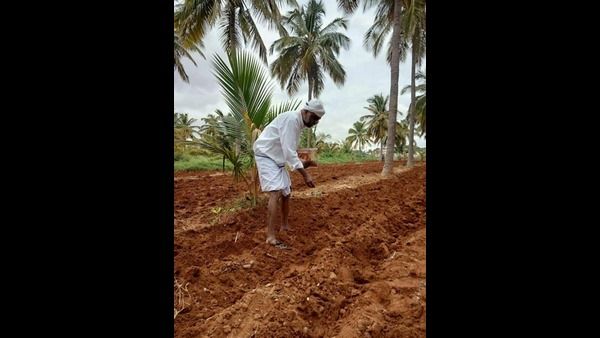 ಮೆಕ್ಕೆಜೋಳ ಬಿತ್ತನೆಯಲ್ಲಿ ಬ್ಯುಸಿಯಾದ ಮಾಜಿ ಸಚಿವ ಆಂಜನೇಯ
