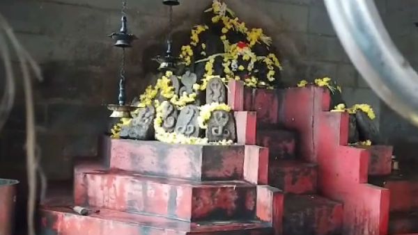 ಕರಾವಳಿಯ ನಾಗಾರಾಧನೆ ಮೇಲೆ ಕೊರೊನಾ ಕರಿಛಾಯೆ