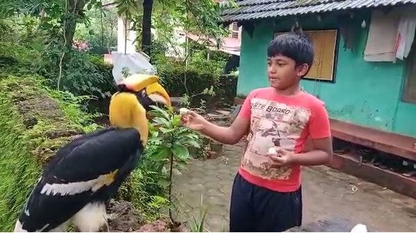 ಅಂಕೋಲದ ಈ ಮನೆಗೆ ಪ್ರತಿದಿನ ತಪ್ಪದೇ ಹಾಜರ್; ಯಾರೀ ಅತಿಥಿ?