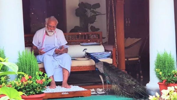 ನವಿಲಿನ ಜತೆಗೆ ವಿಡಿಯೋ: ಪ್ರಧಾನಿ ನರೇಂದ್ರ ಮೋದಿ ನಡೆ ಶಿಕ್ಷಾರ್ಹ ಅಪರಾಧವೇ?