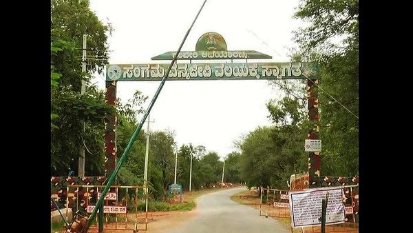 ರಾಮನಗರ: ಉಕ್ಕಿ ಹರಿಯುತ್ತಿದೆ ಕಾವೇರಿ ಸಂಗಮ, ಜಿಲ್ಲಾಧಿಕಾರಿ ಎಚ್ಚರಿಕೆ