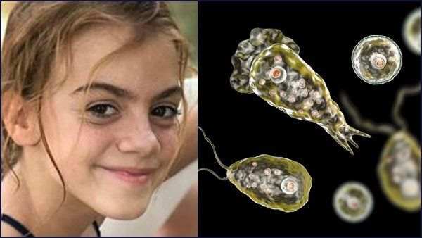 ಮನುಷ್ಯರ ಮೆದುಳು ತಿನ್ನುವ ಹುಳು ದಾಳಿ ಮಾಡುತ್ತಿದೆ ಹುಷಾರ್..!