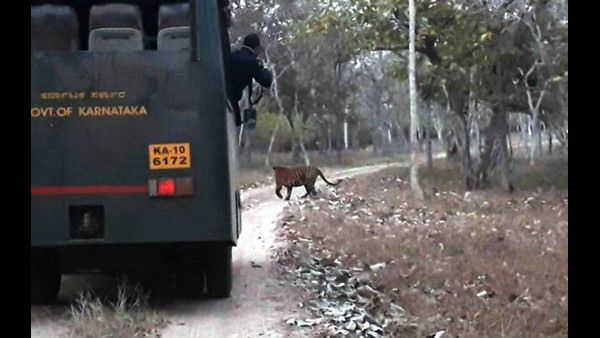 ಬಂಡೀಪುರ ಸಫಾರಿಗೆ ಹೋಗುವವರು ಇನ್ನು ಮೊಬೈಲ್ ಬಳಸುವಂತಿಲ್ಲ