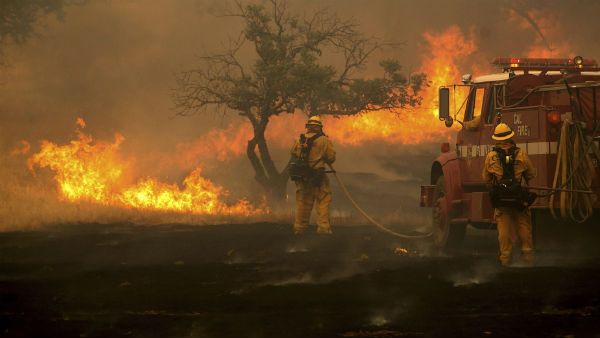ಪಾರ್ಟಿ ಮಾಡಲು ಹೋಗಿ ಕಾಡಿಗೆ ಬೆಂಕಿ ಇಟ್ಟರು..!