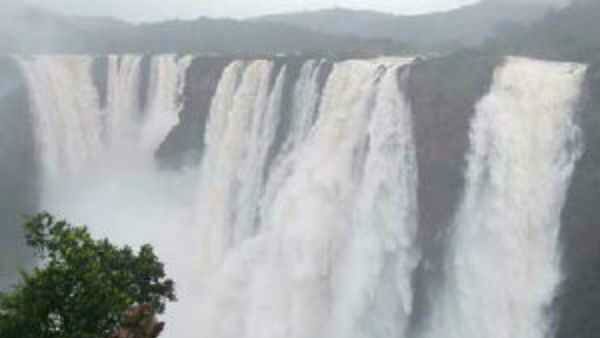 ಅಂತರ ರಾಷ್ಟ್ರೀಯ ಪ್ರವಾಸಿ ತಾಣವಾಗಿ ಜೋಗ ಅಭಿವೃದ್ಧಿ: ಸಂಸದ ಬಿ.ವೈ.ರಾಘವೇಂದ್ರ