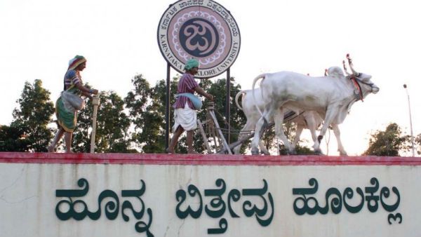 ಕರ್ನಾಟಕ ಜಾನಪದ ವಿವಿ ನೇಮಕಾತಿ; ಸೆ.30ರ ತನಕ ಅರ್ಜಿ ಹಾಕಿ 