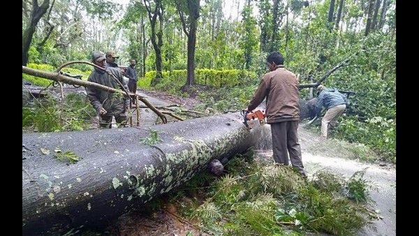 ಕೊಡಗು ಜಿಲ್ಲೆಯಲ್ಲಿ ಮಳೆ, ತುಂಬಿ ಹರಿದಿವೆ ಹಳ್ಳ-ಕೊಳ್ಳ