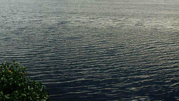 ಸ ರಘುನಾಥ ಅಂಕಣ; ಮನಸ್ಸುಗಳು ಒಂದಾದರೂ ಕಾರ್ಯಕ್ಕಿಳಿಯದ ಪ್ರಯತ್ನ