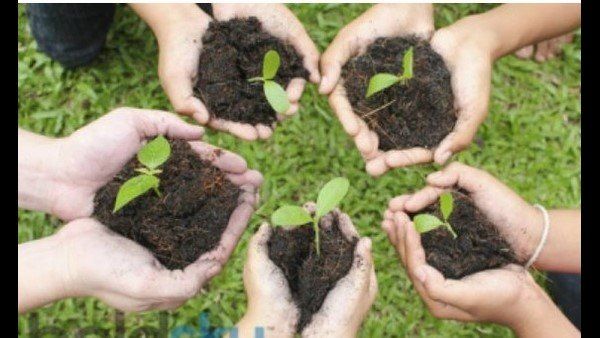 ಜೀವವೈವಿಧ್ಯ ವನ ಭಾಗ 5: ಯೋಗ ವಿ.ವಿ ಸ್ಥಾಪನೆ; ಉಸಿರುಗಟ್ಟಿಸಿ ಉಸಿರಾಡುವುದನ್ನು ಹೇಳಿಕೊಟ್ಟಂತೆ