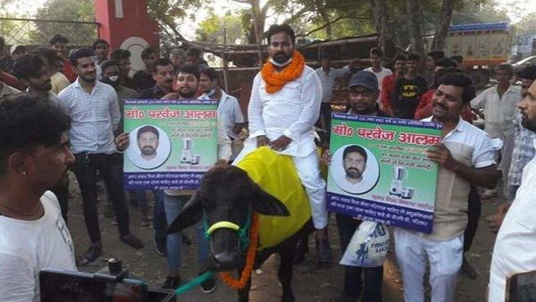 ಎಮ್ಮೆ ಮೇಲೆ ಕುಳಿತು ಚುನಾವಣೆ ಪ್ರಚಾರಕ್ಕೆ ಬಂದ ಅಭ್ಯರ್ಥಿ