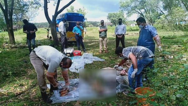 ಶಿವಮೊಗ್ಗ: 36 ಮಂಗಗಳಿಗೆ ವಿಷ ಹಾಕಿ ಕೊಂದ ಐವರ ಬಂಧನ