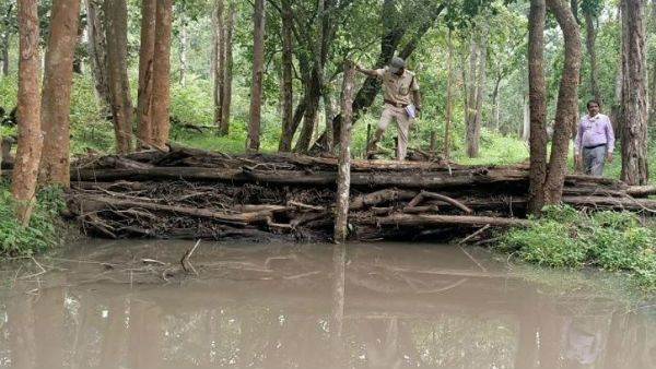 ಬಂಡೀಪುರದಲ್ಲಿ ನೈಸರ್ಗಿಕ ಡ್ಯಾಂನಿಂದ ಅಂತರ್ಜಲ ವೃದ್ಧಿ!
