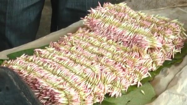 ನವರಾತ್ರಿ ಎಫೆಕ್ಟ್: ಉಡುಪಿ ಮಲ್ಲಿಗೆ ಬೆಲೆ ಗಗನಕ್ಕೆ