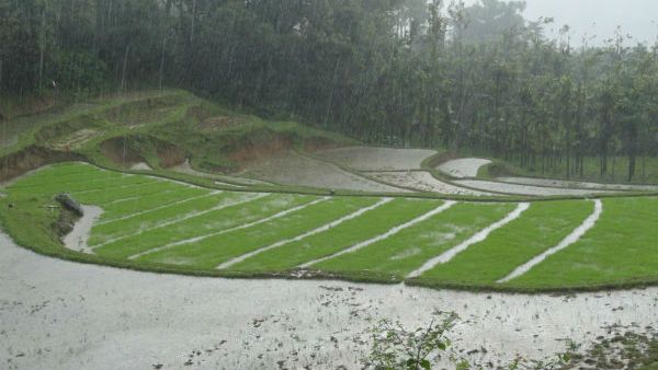 ಕೊಡಗು ಜಿಲ್ಲೆಯಲ್ಲಿ ಮಳೆ ಆರ್ಭಟ, ತಾಲೂಕುವಾರು ವಿವರ