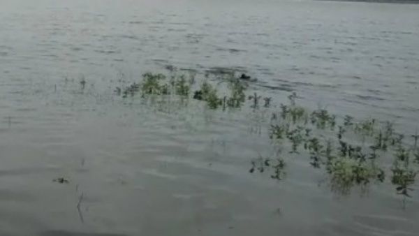 ಸ ರಘುನಾಥ ಅಂಕಣ; ಜಗ್ಗುನಕ ಜಗ್ಗುರೇ ಜಣಕು ನಕ ಜಣಾರೇ...