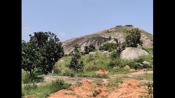 ಮಂದಾರಗಿರಿಯಲ್ಲಿ ಶ್ರೀ ಶಿವಕುಮಾರ ಸ್ವಾಮೀಜಿ ಜೀವವೈವಿಧ್ಯ ವನ