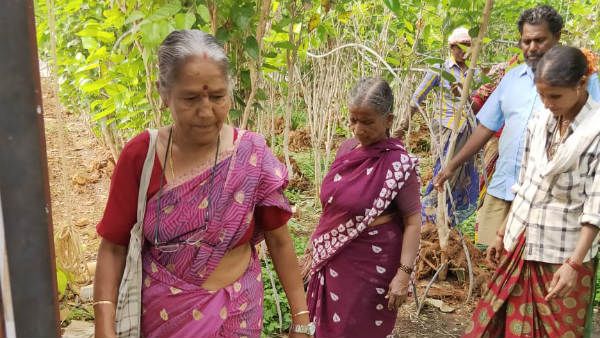 ಚಿತ್ರದುರ್ಗದ ಸುಮಂಗಲಮ್ಮನವರಿಗೆ ಕೃಷಿ ಕ್ಷೇತ್ರದಲ್ಲಿ ರಾಜ್ಯೋತ್ಸವ ಪ್ರಶಸ್ತಿ