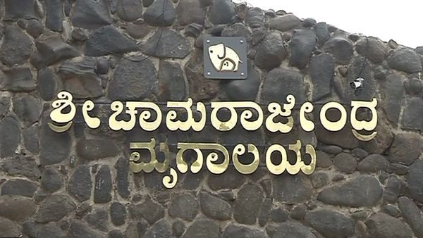 ಸರಳ ದಸರಾ; ಮೃಗಾಲಯದ ಆದಾಯ ಭಾರಿ ಕುಸಿತ!