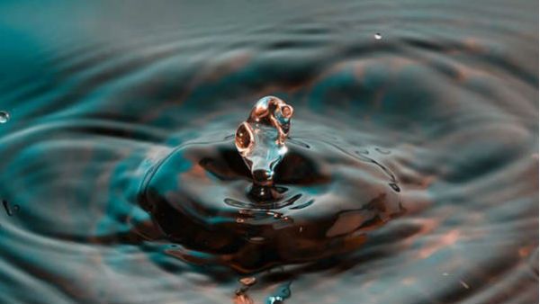 ಸ ರಘುನಾಥ ಅಂಕಣ; ಕೆರೆಯಲ್ಲಿ ನಿಂತು ನಕ್ಕಳು ಗಂಗಮ್ಮ