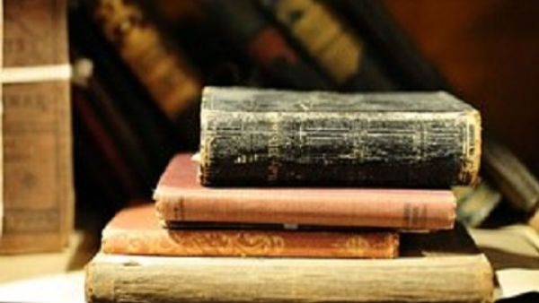 ಸ ರಘುನಾಥ ಅಂಕಣ; ಭೃಂಗದ ಬೆನ್ನೇರಿ ಬಂತು ಕಲ್ಪನಾವಿಲಾಸ...