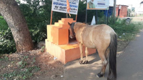 ವೈರಲ್ ವಿಡಿಯೋ; ಆಂಜನೇಯನ ಗುಡಿ ಮುಂದೆ ತಲೆ ಬಗ್ಗಿಸಿ ನಿಂತ ಕುದುರೆ