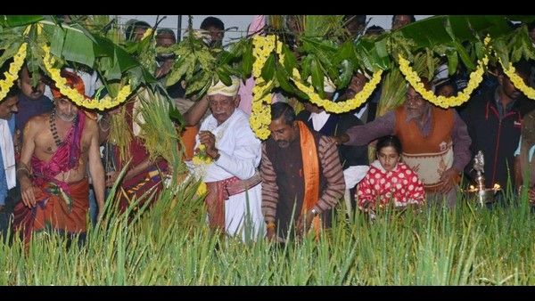 ಕೊಡವರ ನಾಡಲ್ಲಿ ಹುತ್ತರಿ ಹಬ್ಬ: ಧಾನ್ಯಲಕ್ಷ್ಮಿಯನ್ನು ಮನೆ ತುಂಬಿಸಿಕೊಳ್ಳುವ ಉತ್ಸವ