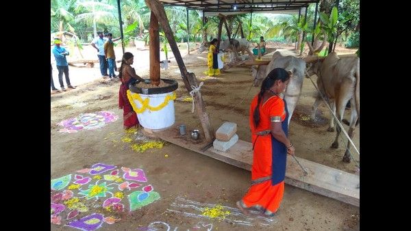 ಲಕ್ಷ ಸಂಬಳದ ನೌಕರಿ ತೊರೆದು, ಗಾಣ ನಿರ್ಮಿಸಿ ಕೋಟಿ ಆದಾಯ ಕಂಡ ಎಂಜಿನಿಯರ್ ಸ್ನೇಹಿತರು