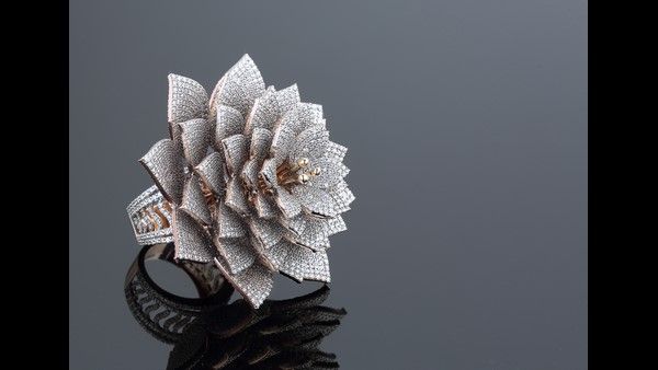 ಗಿನ್ನಿಸ್ ದಾಖಲೆ ಬರೆದ ವಜ್ರದುಂಗುರ ಆನ್‍ಲೈನ್‍ನಲ್ಲಿ ಹರಾಜು