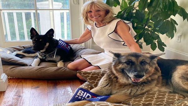 ಬೈಡನ್ ಗೆಲುವಿನ ಬೆನ್ನಲ್ಲೇ ಶ್ವೇತಭವನಕ್ಕೆ ಮುದ್ದಾದ ಶ್ವಾನ!