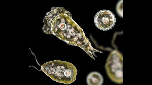 ಎಚ್ಚರಿಕೆ; ಹೆಚ್ಚುತ್ತಿದೆ ಮೆದುಳು ಕೊರೆಯುವ ಸೂಕ್ಷ್ಮಾಣು ಜೀವಿ ಪ್ರಕರಣ