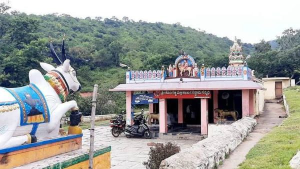 ನಿಸರ್ಗ ಚೆಲುವಿನ ಅಪರೂಪದ ಕೊಂಗಳ್ಳಿ ಮಲ್ಲಪ್ಪನ ಬೆಟ್ಟ