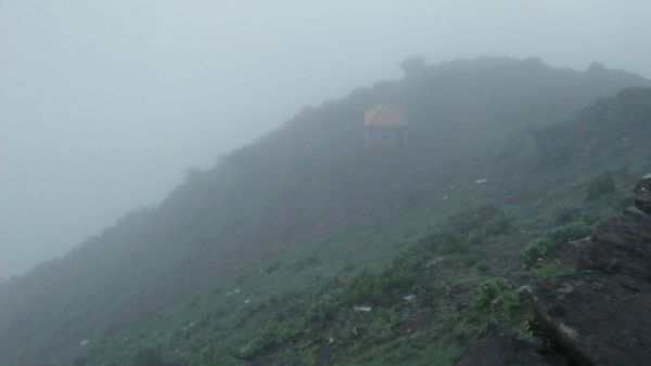 ಡಿ.25 ರಿಂದ 30ರವರೆಗೆ ಮುಳ್ಳಯ್ಯನಗಿರಿಗೆ ನಿಷೇಧ ಹೇರಿದ ಚಿಕ್ಕಮಗಳೂರು ಜಿಲ್ಲಾಡಳಿತ