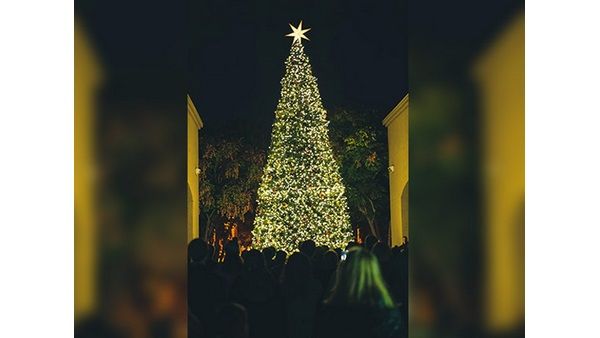  ಮಿನುಗು ನಕ್ಷತ್ರ ಹೇಳಿತು ಕ್ರಿಸ್ ಮಸ್ ಹಬ್ಬದ ಕಥೆ...  