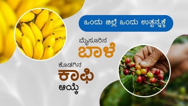 ಒಂದು ಜಿಲ್ಲೆ, ಒಂದು ಉತ್ಪನ್ನಕ್ಕೆ ಮೈಸೂರಿನ ಬಾಳೆ, ಕೊಡಗಿನ ಕಾಫಿ ಆಯ್ಕೆ