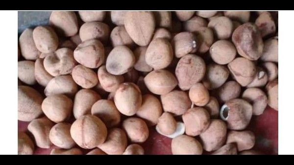 ಕೊಬ್ಬರಿ ಕನಿಷ್ಠ ಬೆಂಬಲ ಬೆಲೆ ಹೆಚ್ಚಳಕ್ಕೆ ಮೋದಿ ಸಂಪುಟ ತೀರ್ಮಾನ