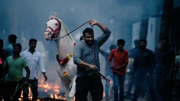 ನಟ ದರ್ಶನ್ ಫಾರ್ಮ್ ಹೌಸ್‌ನಲ್ಲಿ ಸಂಕ್ರಾಂತಿ ಸಂಭ್ರಮ