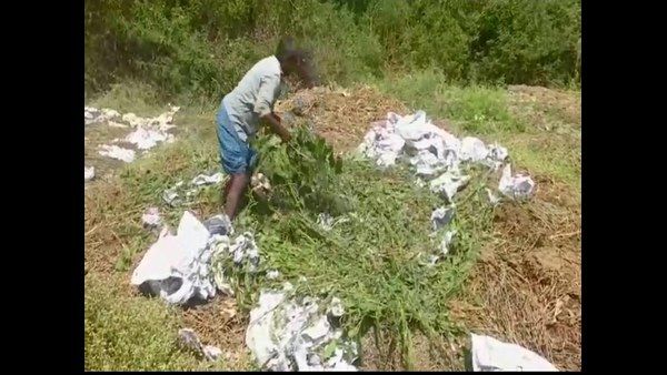 ಗ್ರಾ.ಪಂ ಚುನಾವಣೆ ದ್ವೇಷ: ಹಿಪ್ಪುನೇರಳೆಗೆ ರಾತ್ರೋರಾತ್ರಿ ವಿಷ ಹಾಕಿದ ಕಿಡಿಗೇಡಿಗಳು