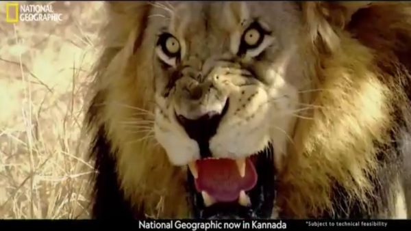 ಸುಂದರ, ಅದ್ಭುತ, ಅಮೋಘ, ಅವಿಸ್ಮರಣೀಯ nat geo ಕನ್ನಡ